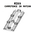 RiKo Competence in Motion